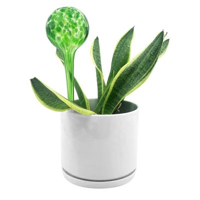 H3ae756b78efe40de97c6b578e6a99370C