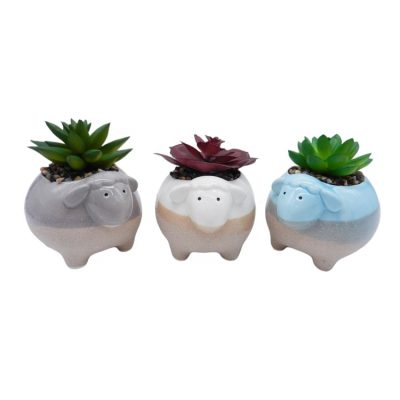 H43021cd2164b4c1ebbe192830a1b1701T