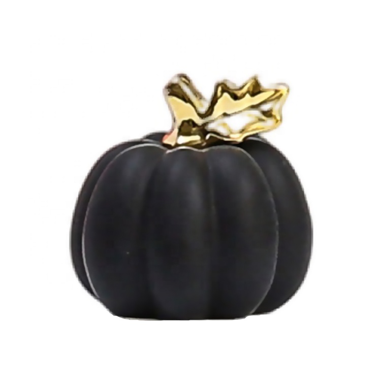 H47eaaa6c3db446bea9c9b02f645964101