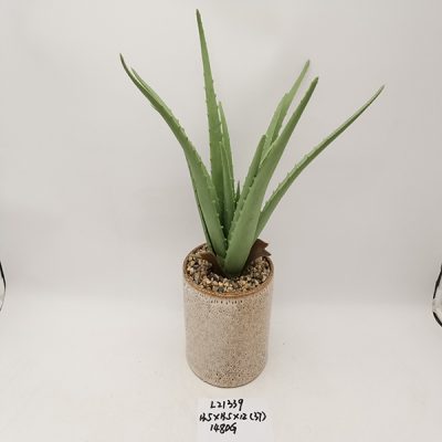 H5c498c17c5fa4d089c45baf8f5e7c79cG