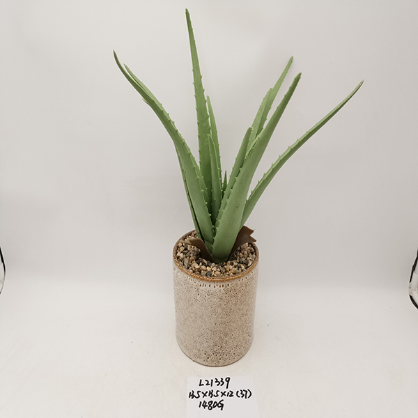 H5c498c17c5fa4d089c45baf8f5e7c79cG