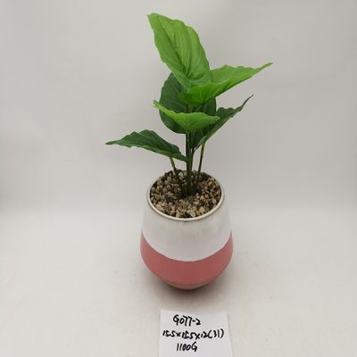 H605ba4310ab44692a0dd1956ff63ee888