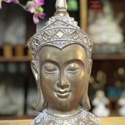 H6c6f9ae8c9b04593a9c7dd26bd1c0556e