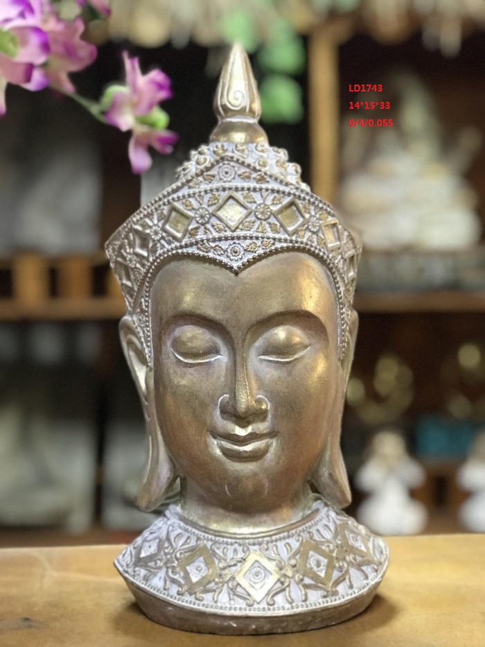 H6c6f9ae8c9b04593a9c7dd26bd1c0556e