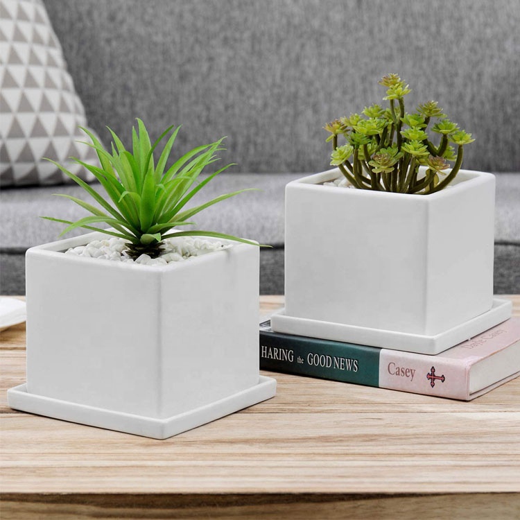 H74c285f781504fd998802a78bd535719M