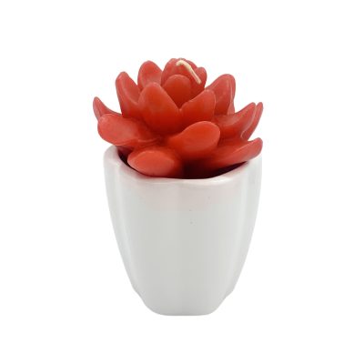 H74cdd6a75b834016b2f01d7c55a66746s