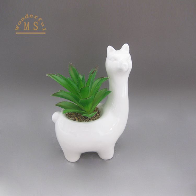 HTB1SkWfX5zxK1RkSnaVq6xn9VXad