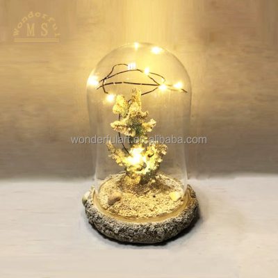 HTB1cJLtqL1TBuNjy0Fjq6yjyXXaA