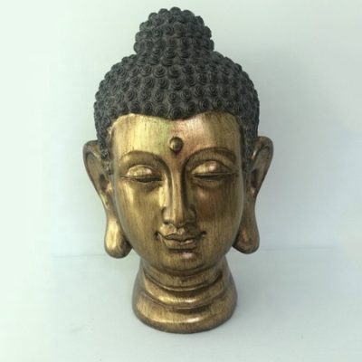 Ha66e70fd86bb4ad1a6fcb52628832ce7M