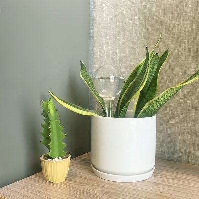 Hb15b9fbd921c44879388cb955ce02803Y