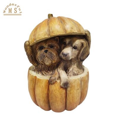 Hd15594a1b16f4a89af027f534b16e548C