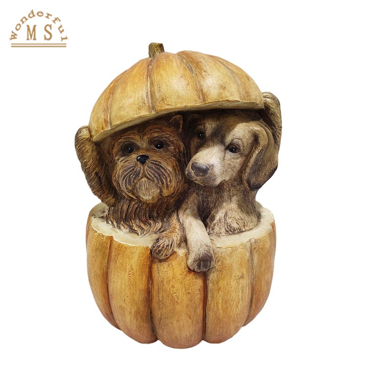 Hd15594a1b16f4a89af027f534b16e548C