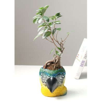 Hd603585cf38c4eb9af6aa0801a3c6c257