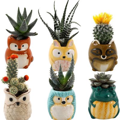 He07eb113d80745a29a122e375a88bb85m