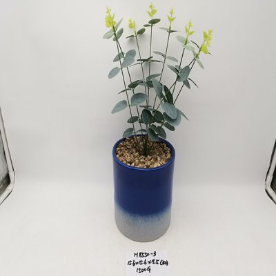 He50da21a050249c291221b56e906c81cz