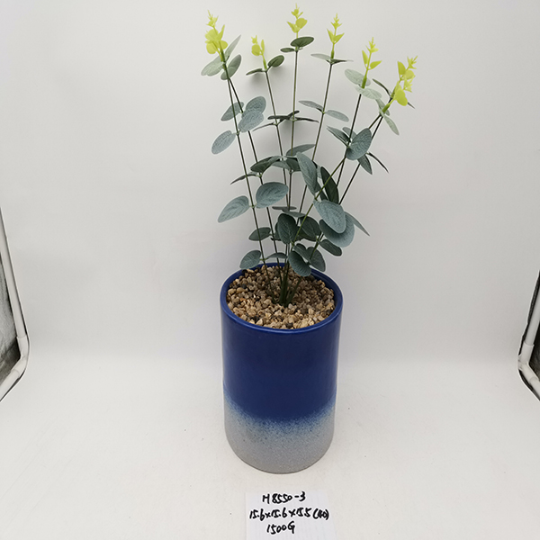 He50da21a050249c291221b56e906c81cz