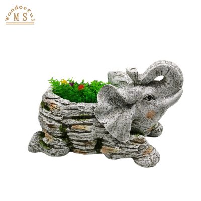 Hebe4d1859e6c4b3aac45cfa0fef34121E