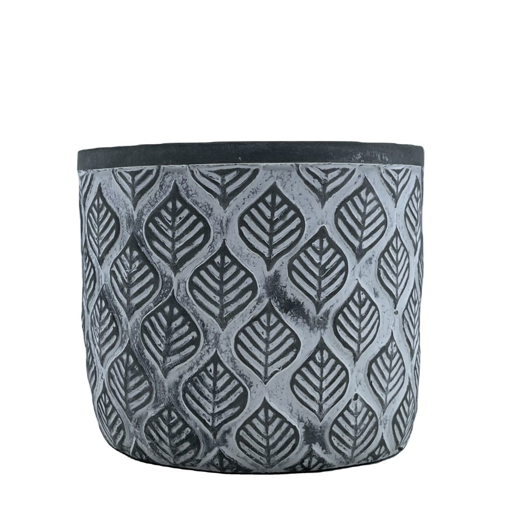 N6ZqLjVdadNUvd3FN6L_316506181432_mp4_264_ld