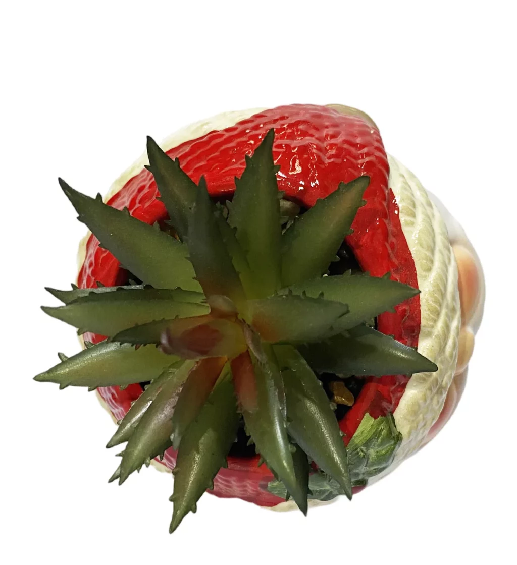 Christmas Decoration Color Painting Terracotta Santa Cruz Head Pot with Mini Artificial Succulent