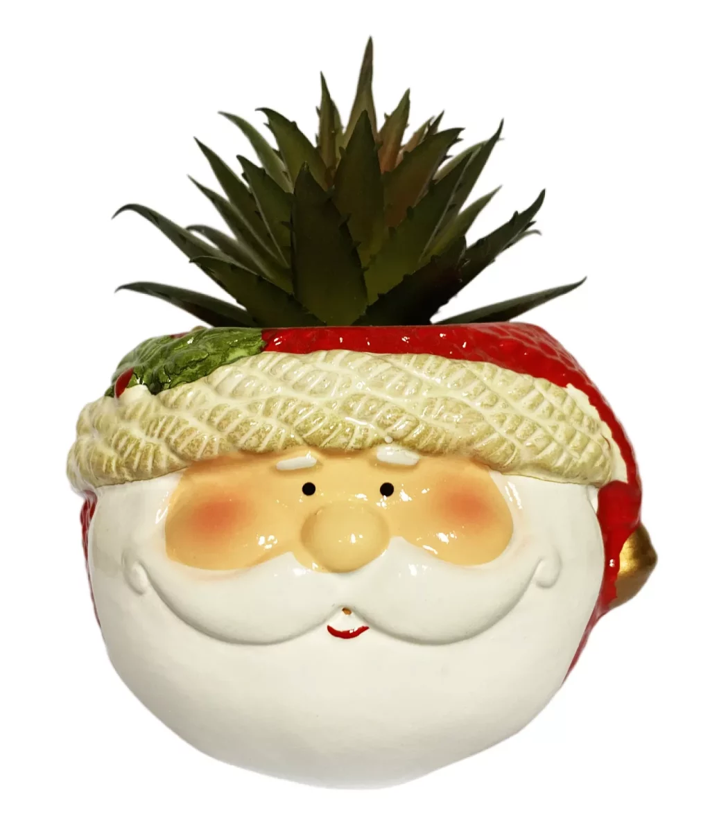 Santa Cruz Head Pot with Mini Artificial Succulent