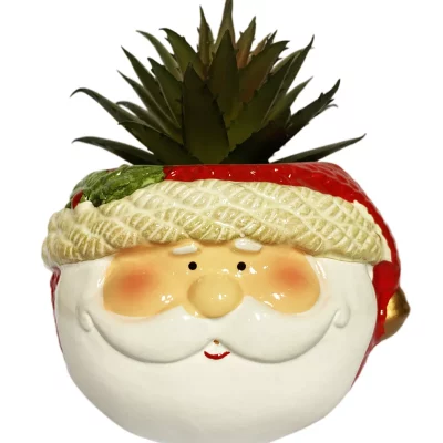 Santa Cruz Head Pot with Mini Artificial Succulent