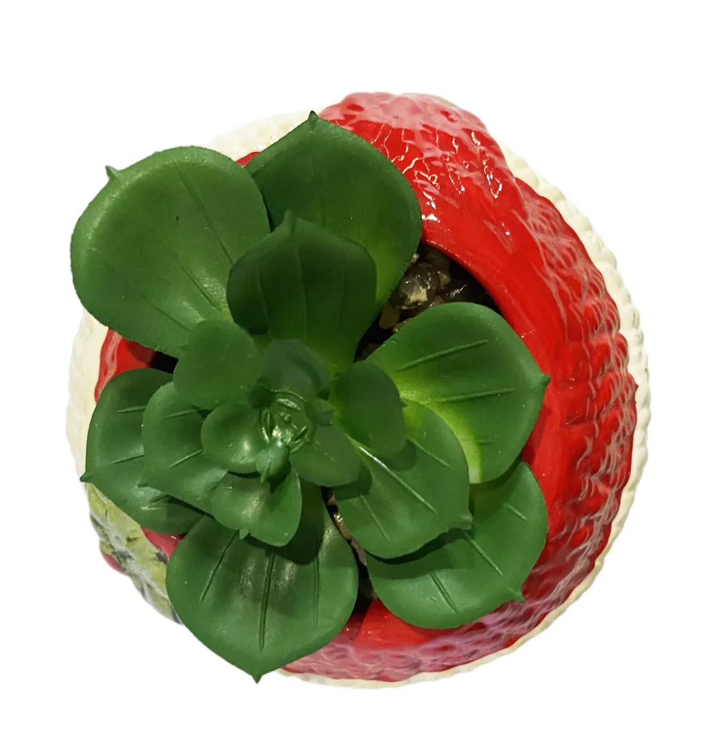 Christmas Decoration Color Painting Terracotta Snowman Head Pot with Mini Artificial Succulent